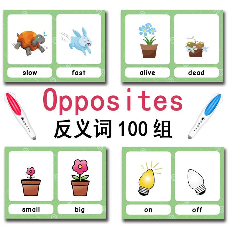 The 100 Groups Opposites Flash - Kids Education And You ulasan dan harga