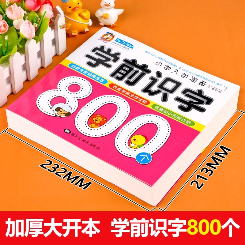 Preschool Literacy: 800 Chines - Kids Early Education Books ulasan dan harga