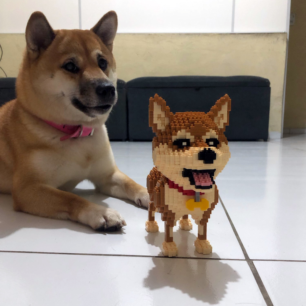 KNEW BUILT Shiba Inu Dogs Mode - Kids Education Recreation ulasan dan harga